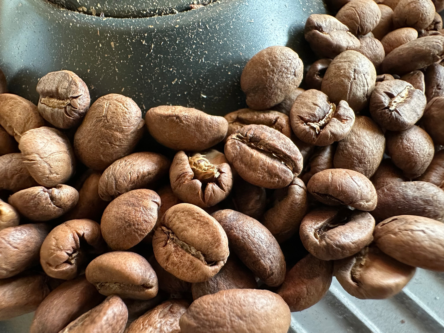 Coffee beans are placed in a coffee hopper.