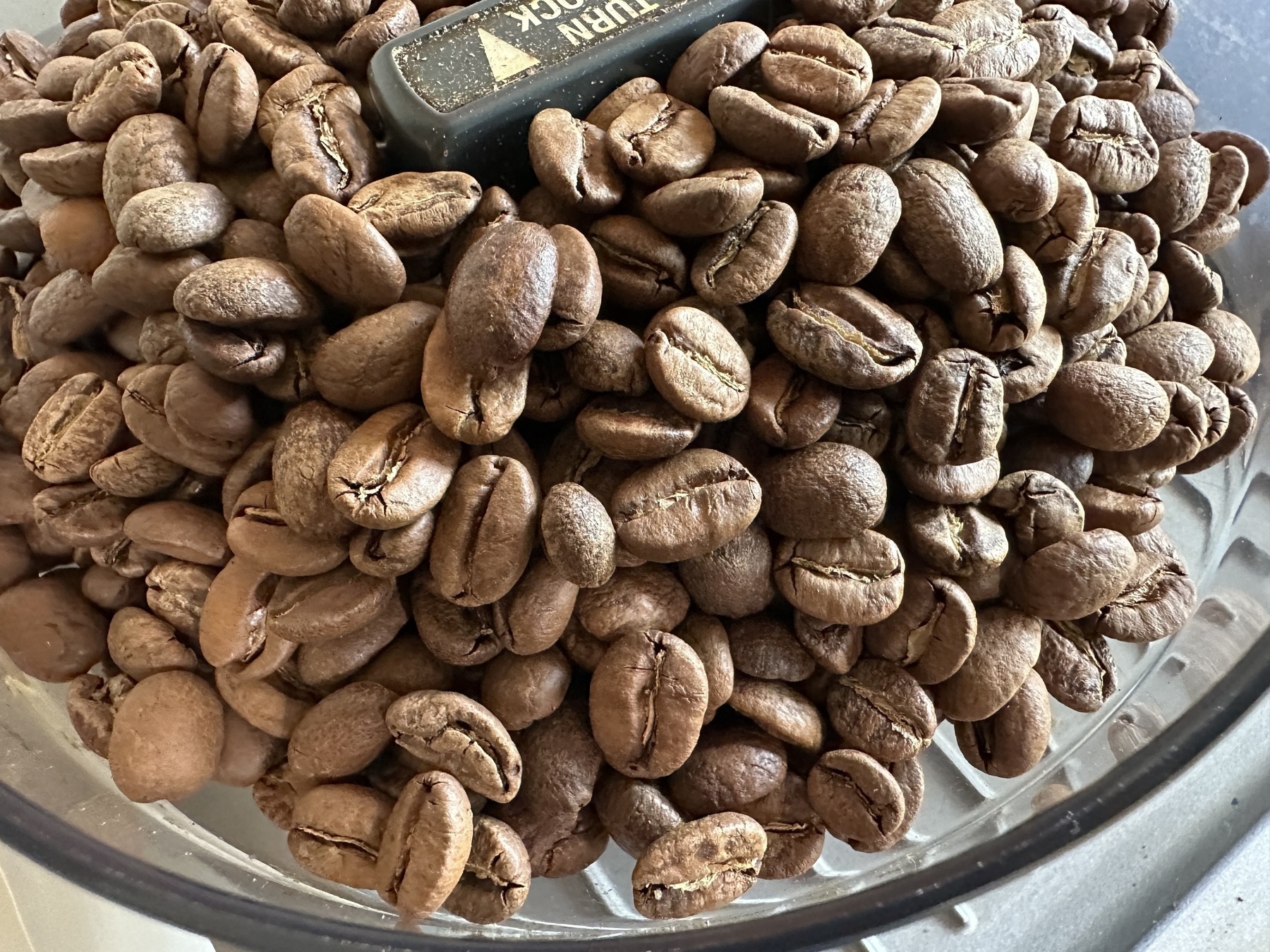 A close-up view of roasted coffee beans in a transparent container.
