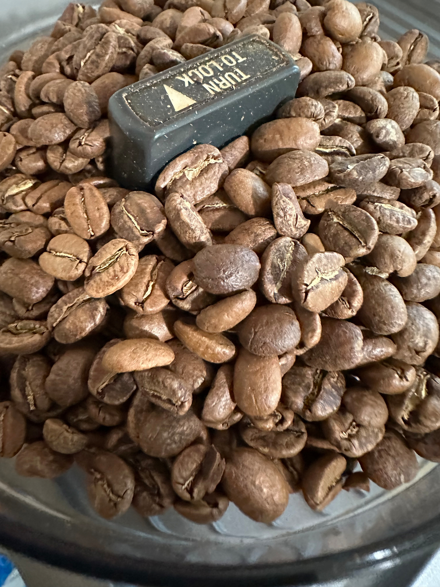 A pile of roasted coffee beans fills a clear bean hopper