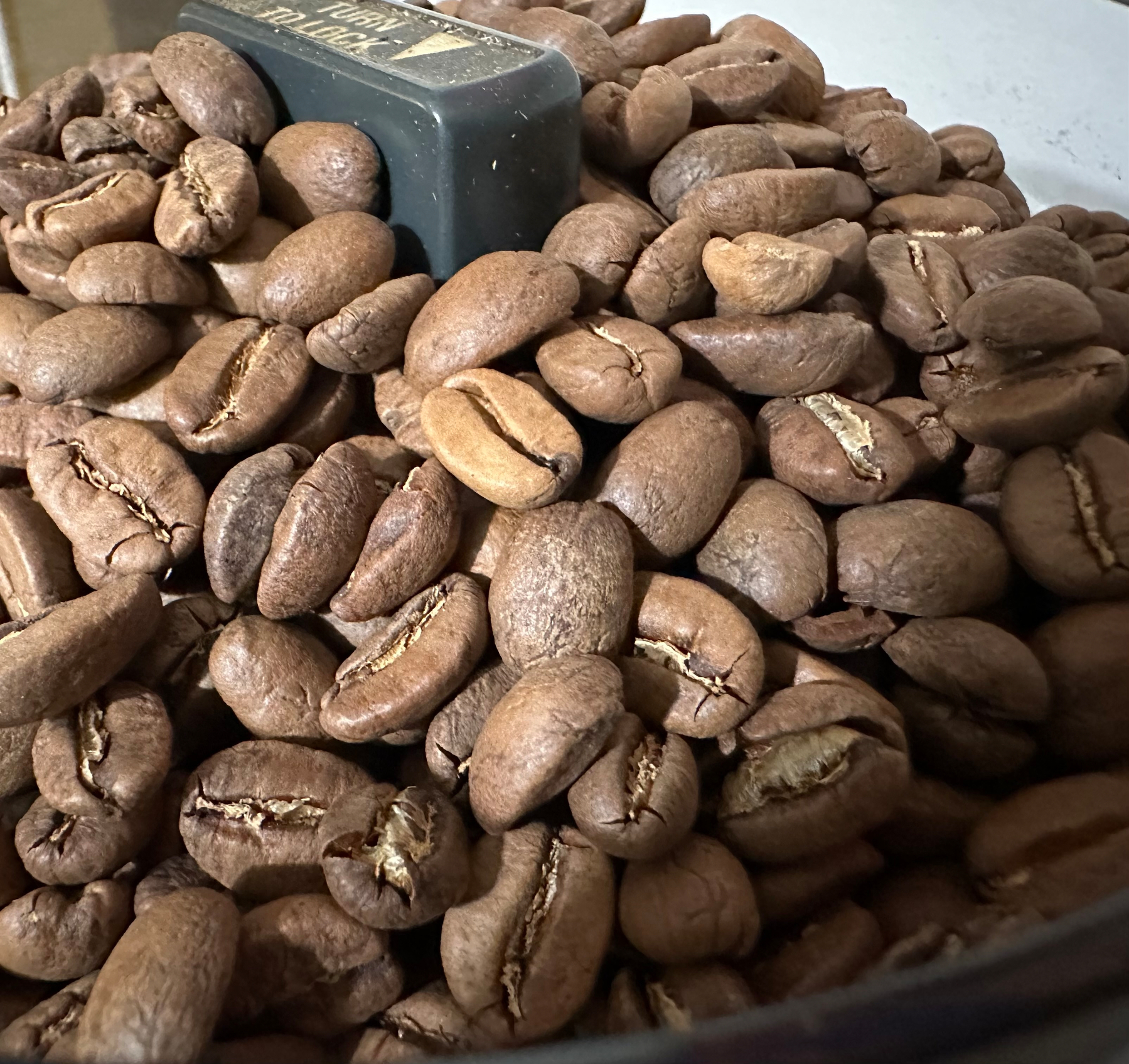 A close-up view of roasted coffee beans in a hopper