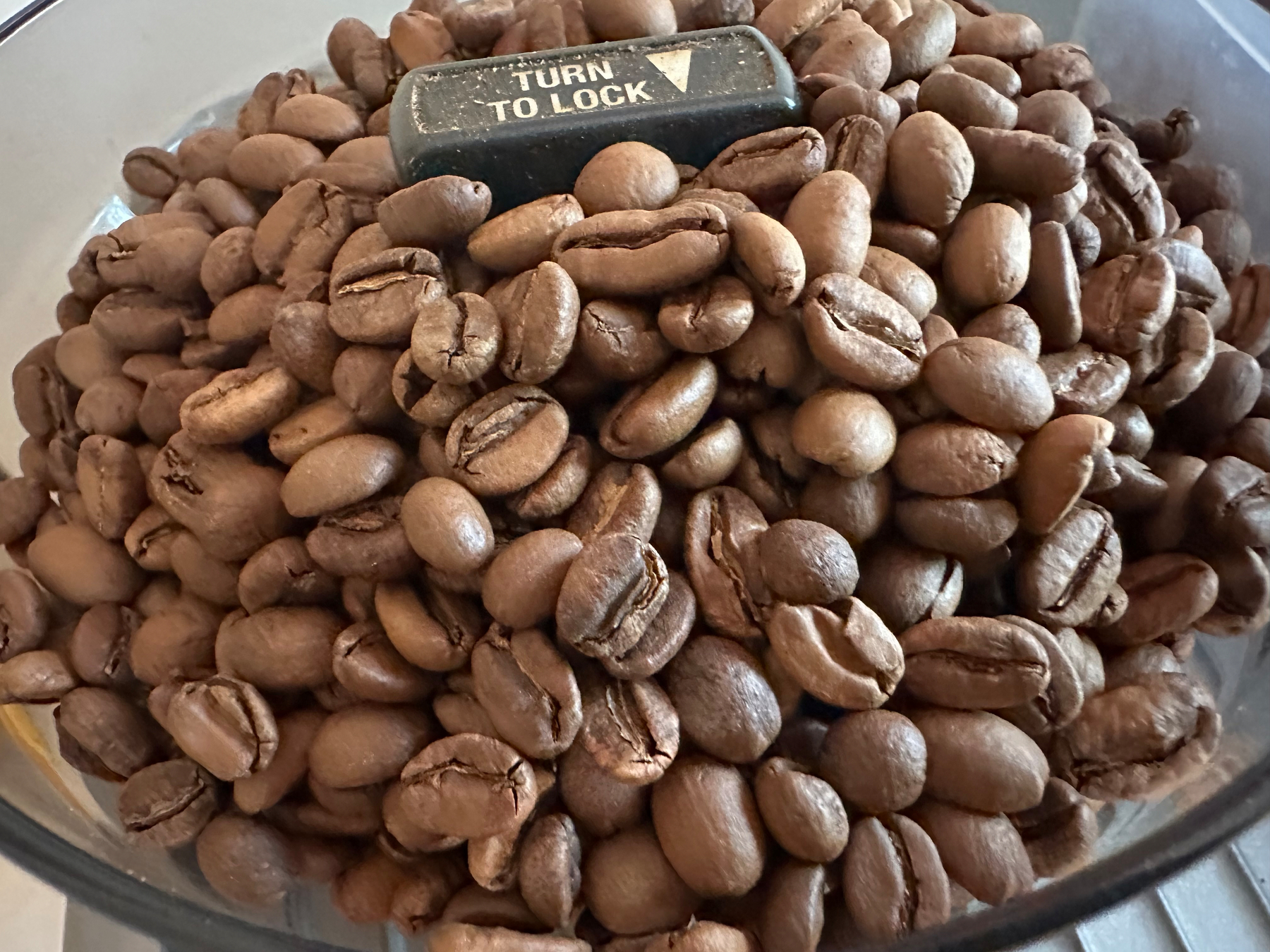A pile of roasted coffee beans fills a container with a TURN TO LOCK knob on top.
