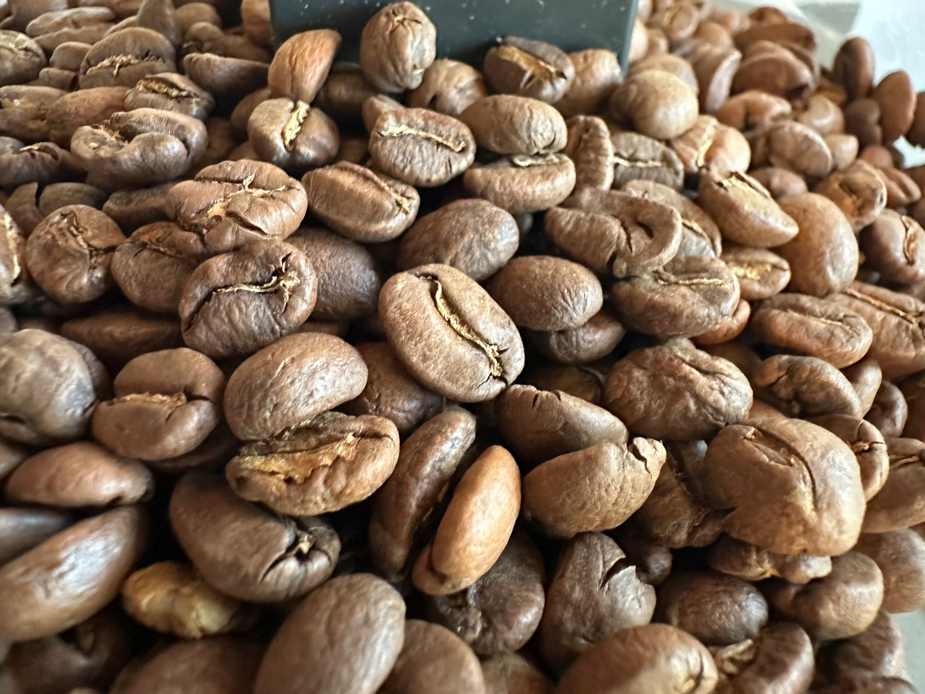 A close-up view of numerous roasted coffee beans spread out.