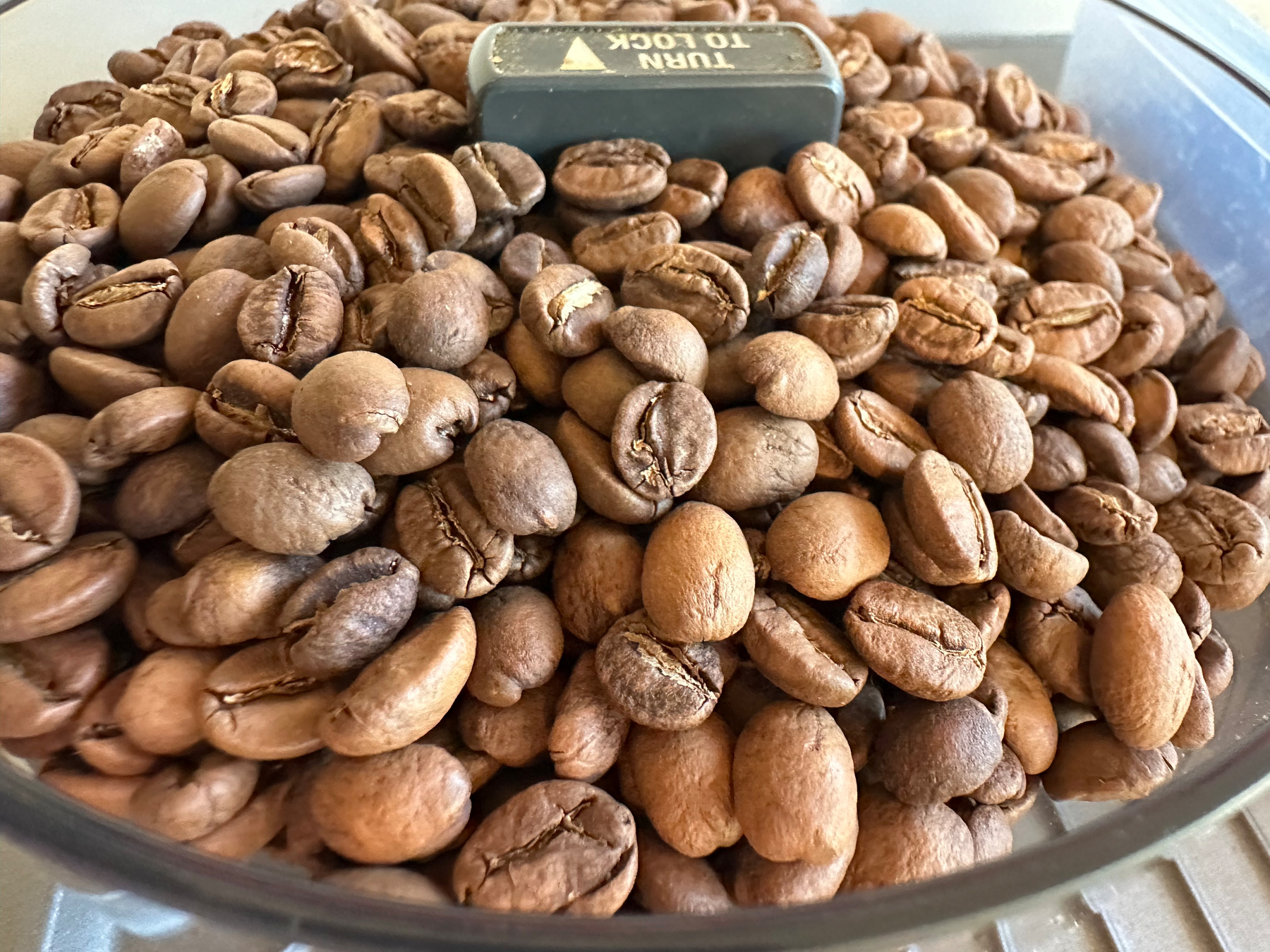 A close-up view of a container filled with brown roasted coffee beans with a TURN TO LOCK lever.